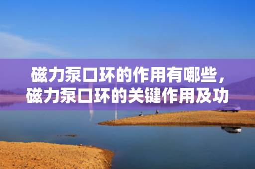 磁力泵口环的作用有哪些，磁力泵口环的关键作用及功能解析
