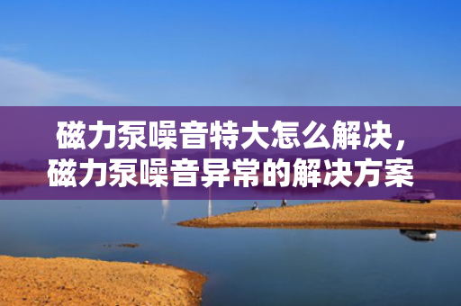 磁力泵噪音特大怎么解决，磁力泵噪音异常的解决方案