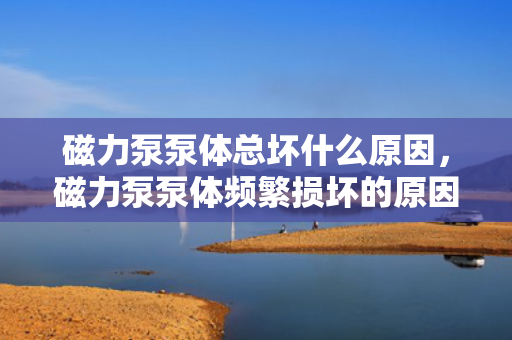 磁力泵泵体总坏什么原因，磁力泵泵体频繁损坏的原因解析
