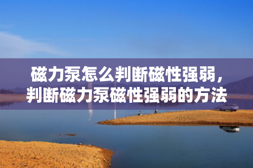 磁力泵怎么判断磁性强弱，判断磁力泵磁性强弱的方法与技巧