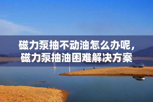 磁力泵抽不动油怎么办呢，磁力泵抽油困难解决方案
