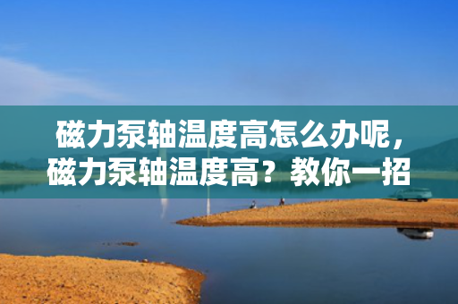 磁力泵轴温度高怎么办呢，磁力泵轴温度高？教你一招轻松解决！