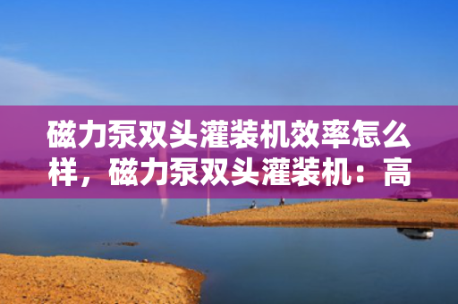 磁力泵双头灌装机效率怎么样，磁力泵双头灌装机：高效稳定的灌装解决方案