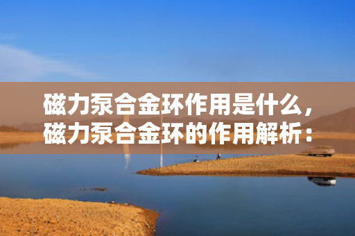 磁力泵合金环作用是什么，磁力泵合金环的作用解析：提升密封性能与运行稳定性