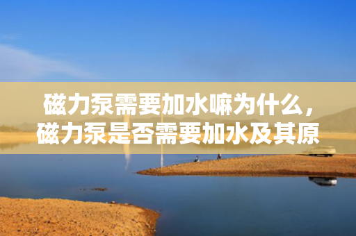 磁力泵需要加水嘛为什么，磁力泵是否需要加水及其原因解析