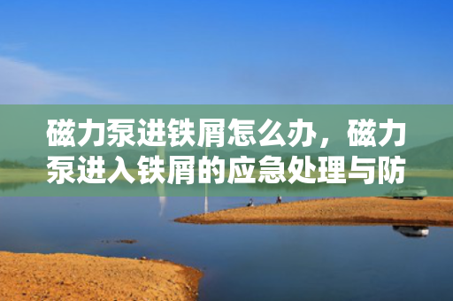 磁力泵进铁屑怎么办，磁力泵进入铁屑的应急处理与防范措施