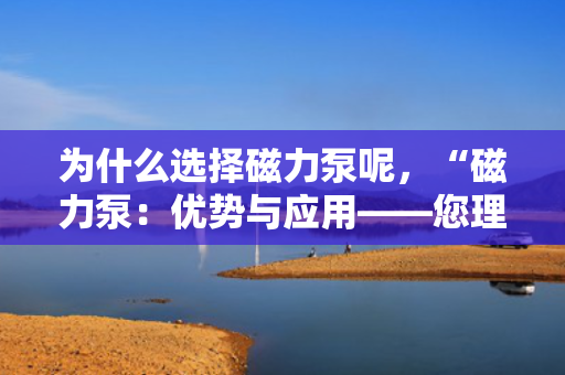 为什么选择磁力泵呢，“磁力泵：优势与应用——您理想的选择理由”