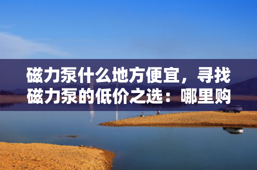 磁力泵什么地方便宜，寻找磁力泵的低价之?。耗睦锕郝蜃罨?？