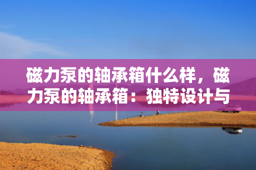 磁力泵的轴承箱什么样，磁力泵的轴承箱：独特设计与功能全解