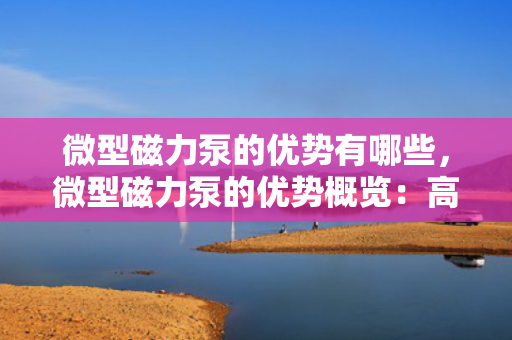 微型磁力泵的优势有哪些，微型磁力泵的优势概览：高效、可靠且适应性强的流体传输解决方案
