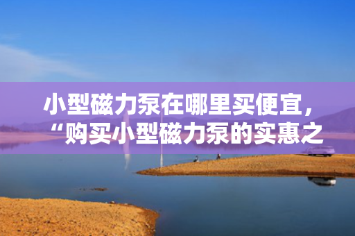 小型磁力泵在哪里买便宜，“购买小型磁力泵的实惠之?。耗睦锬苷业郊鄹窀呕莸拇帕Ρ?？”