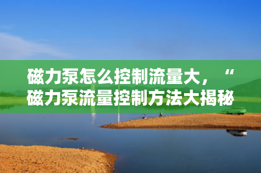磁力泵怎么控制流量大，“磁力泵流量控制方法大揭秘：轻松实现大流量调控”