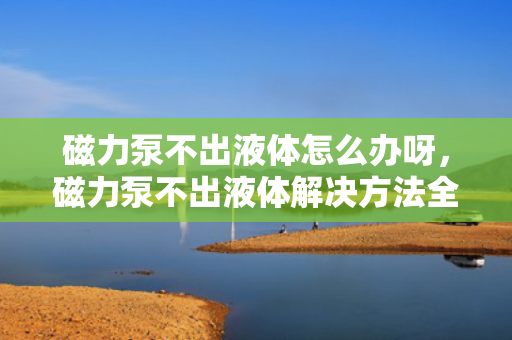 磁力泵不出液体怎么办呀，磁力泵不出液体解决方法全攻略：快速定位问题，轻松恢复泵的正常运行