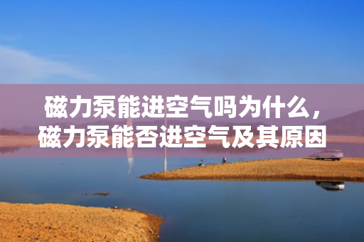 磁力泵能进空气吗为什么，磁力泵能否进空气及其原因解析