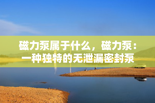 磁力泵属于什么，磁力泵：一种独特的无泄漏密封泵