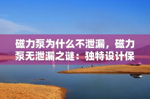磁力泵为什么不泄漏，磁力泵无泄漏之谜：独特设计保障高效安全运行