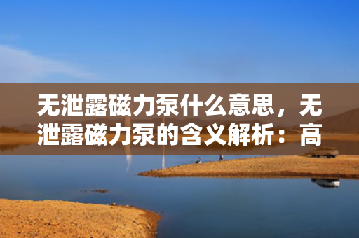 无泄露磁力泵什么意思，无泄露磁力泵的含义解析：高效、安全、环保的流体输送解决方案