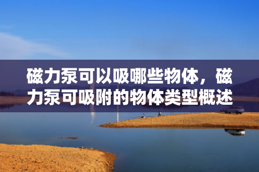 磁力泵可以吸哪些物体，磁力泵可吸附的物体类型概述：从金属到特定非金属物质的广泛适用性