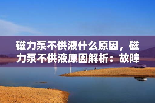 磁力泵不供液什么原因，磁力泵不供液原因解析：故障排查与解决方案