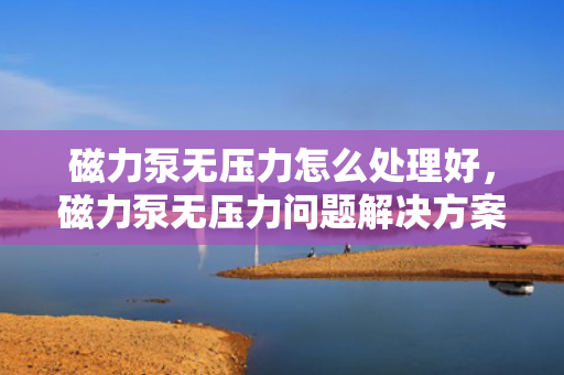 磁力泵无压力怎么处理好，磁力泵无压力问题解决方案