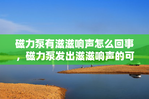 磁力泵有滋滋响声怎么回事，磁力泵发出滋滋响声的可能原因及解决方法