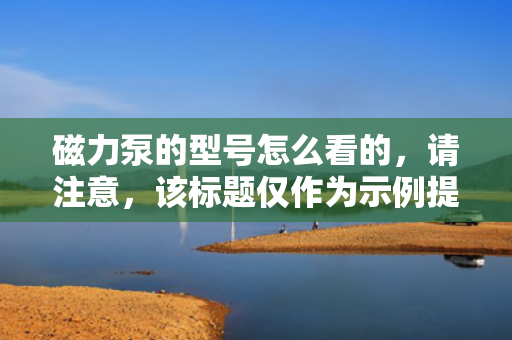 磁力泵的型号怎么看的，请注意，该标题仅作为示例提供，您可以根据具体需求和语境进行调整。