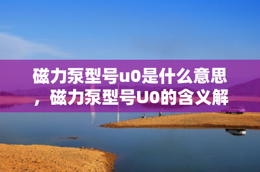 磁力泵型号u0是什么意思，磁力泵型号U0的含义解析