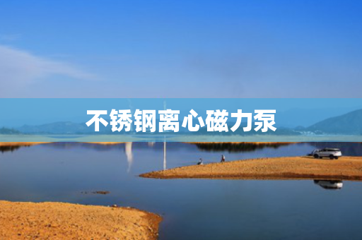 不锈钢离心磁力泵