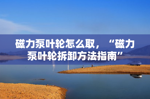 磁力泵叶轮怎么取，“磁力泵叶轮拆卸方法指南”