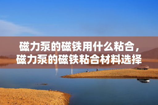 磁力泵的磁铁用什么粘合，磁力泵的磁铁粘合材料选择指南