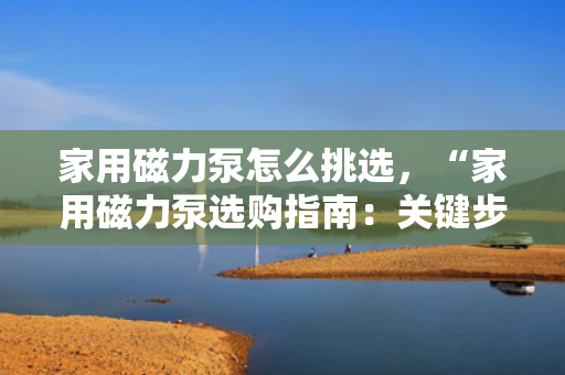 家用磁力泵怎么挑选，“家用磁力泵选购指南：关键步骤与技巧助您轻松选择”