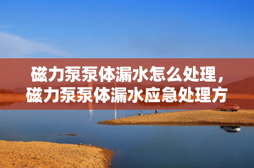 磁力泵泵体漏水怎么处理，磁力泵泵体漏水应急处理方案