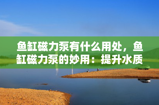 鱼缸磁力泵有什么用处，鱼缸磁力泵的妙用：提升水质循环与过滤效果的关键设备