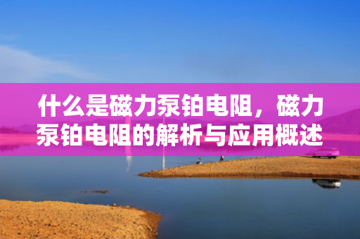 什么是磁力泵铂电阻，磁力泵铂电阻的解析与应用概述