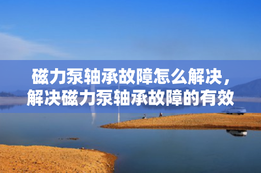 磁力泵轴承故障怎么解决，解决磁力泵轴承故障的有效方法