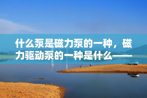 什么泵是磁力泵的一种，磁力驱动泵的一种是什么——探秘磁力泵的类型与特点