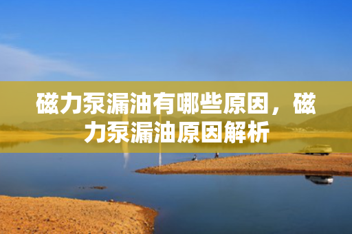 磁力泵漏油有哪些原因，磁力泵漏油原因解析