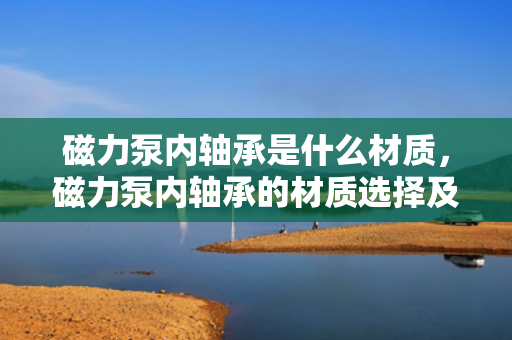 磁力泵内轴承是什么材质，磁力泵内轴承的材质选择及其对性能的影响