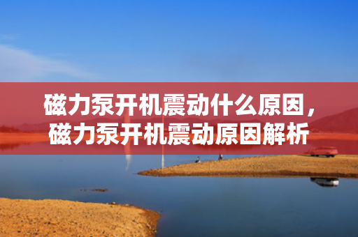 磁力泵开机震动什么原因，磁力泵开机震动原因解析