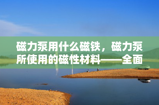 磁力泵用什么磁铁，磁力泵所使用的磁性材料——全面解析磁力泵中的磁铁类型