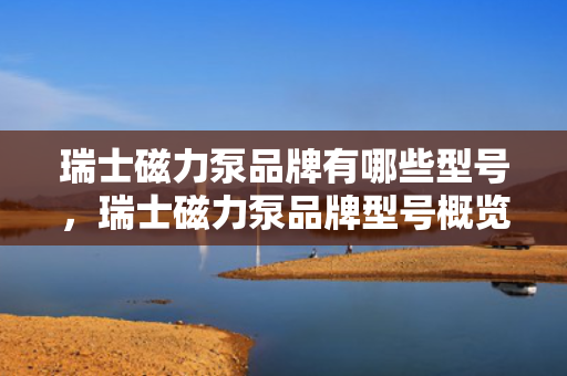 瑞士磁力泵品牌有哪些型号，瑞士磁力泵品牌型号概览：了解不同型号满足您的需求