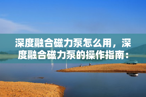 深度融合磁力泵怎么用，深度融合磁力泵的操作指南：如何高效使用磁力驱动泵
