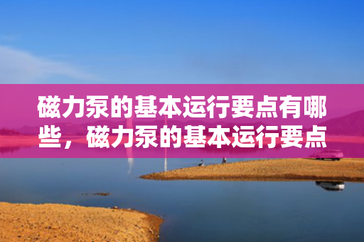 磁力泵的基本运行要点有哪些，磁力泵的基本运行要点概览：确保高效稳定运行的关键要素
