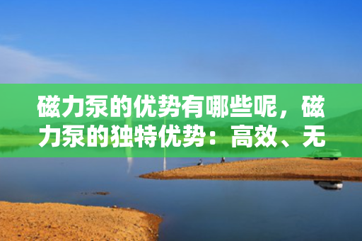 磁力泵的优势有哪些呢，磁力泵的独特优势：高效、无泄漏与长寿命的完美结合
