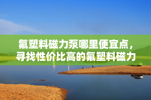 氟塑料磁力泵哪里便宜点，寻找性价比高的氟塑料磁力泵：哪里购买更实惠？