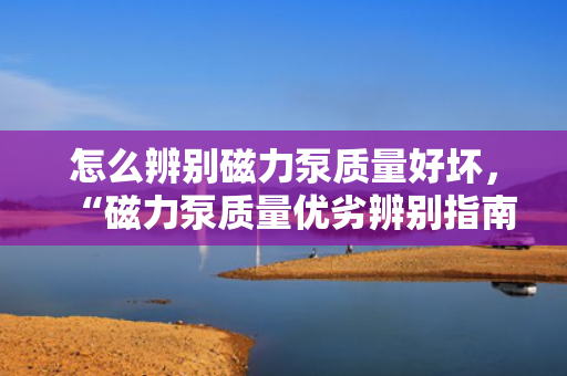 怎么辨别磁力泵质量好坏，“磁力泵质量优劣辨别指南：关键要点一网打尽”