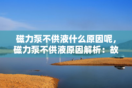 磁力泵不供液什么原因呢，磁力泵不供液原因解析：故障排查与解决方案