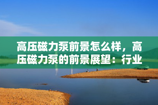 高压磁力泵前景怎么样，高压磁力泵的前景展望：行业应用广泛，发展潜力巨大