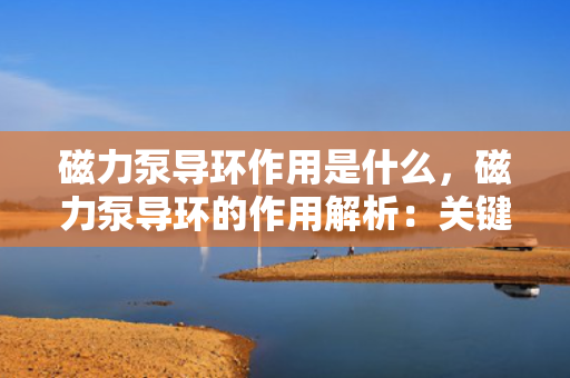 磁力泵导环作用是什么，磁力泵导环的作用解析：关键部件在流体传输中的功能与效益