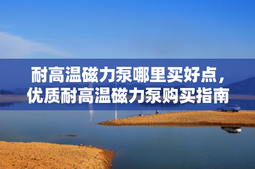 耐高温磁力泵哪里买好点，优质耐高温磁力泵购买指南：选择可靠供应商的关键步骤
